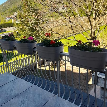 La Casetta Di Campagna Mazzo di Valtellina エクステリア 写真