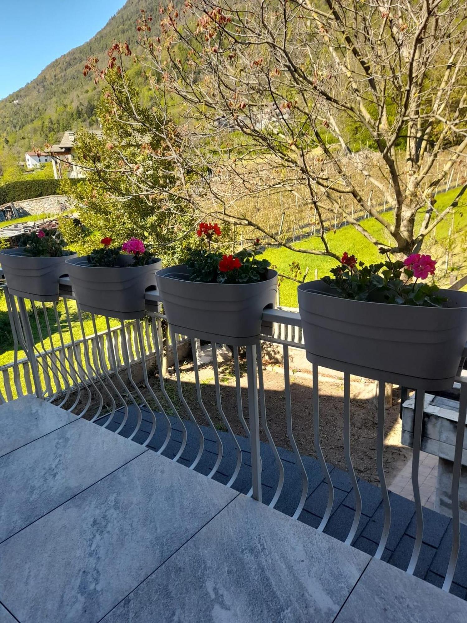 La Casetta Di Campagna Mazzo di Valtellina エクステリア 写真